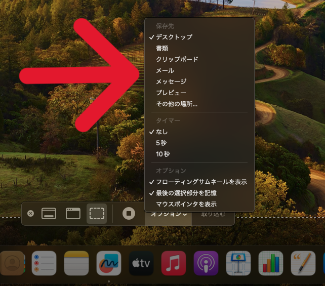 Mac画面録画オプション画面